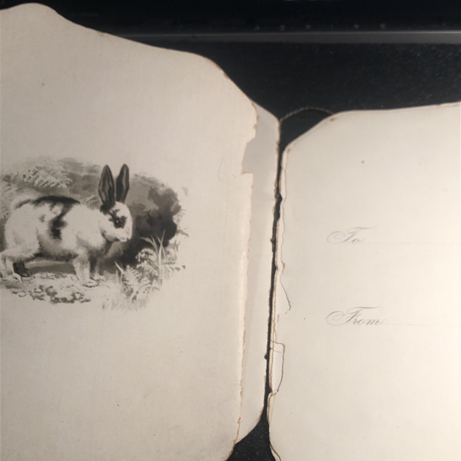 Picture 12 of 20