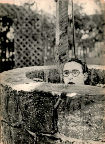 1922 film, Grandma's Boy, Harold Lloyd, Fred Newmeyer, The Film Postcard