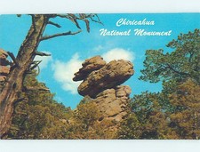 Pre-1980 NATURE SCENE Chiricahua - Near Hilltop & Portal & San Simeon AZ AD2601