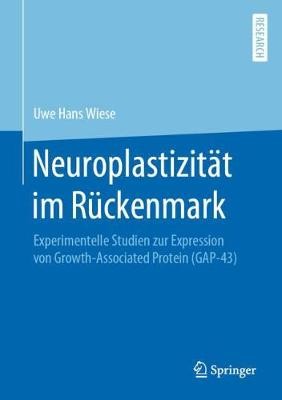 Neuroplastizitat im Ruckenmark - 9783658273606