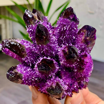 purple phantom quartz crystal cluster mineral