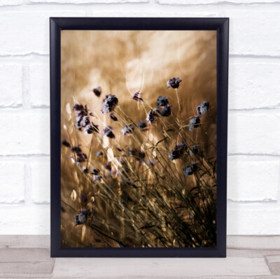 Meadow Garden Flower Flowers Spring Gold Golden Grass Wall Art Print