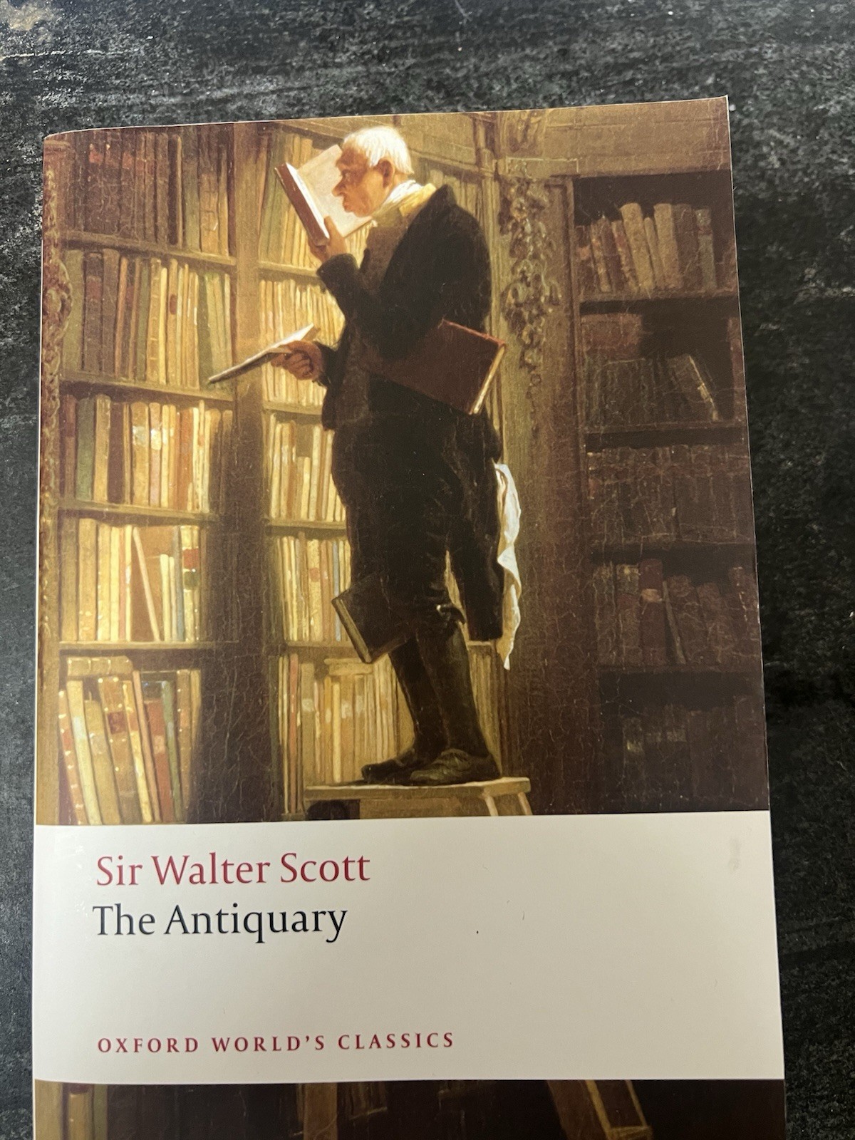 Antiquary by Walter Scott (2009, Trade Paperback)