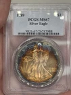 1989 AMERICAN SILVER EAGLE PCGS MS67 MONSTER  RAINBOW TONED "RARE COIN"