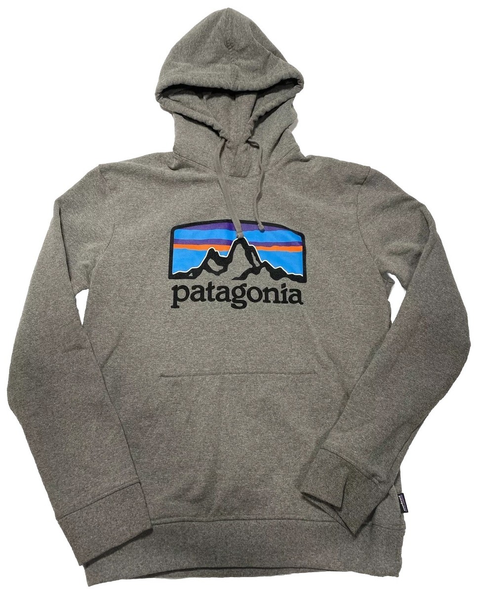 Patagonia Men's Small Fitz Roy Horizons Uprisal Hoodie Gray | eBay