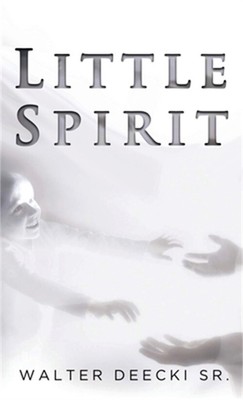 Little Spirit (Hardback or Cased Book)