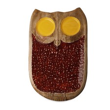 Colorful Owl Platter