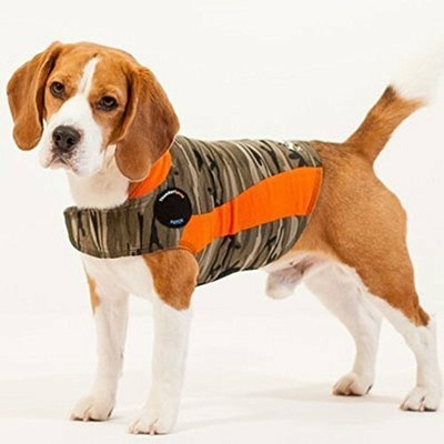 polo dog jacket