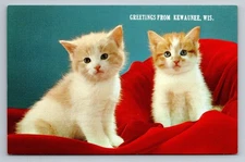 Vintage Greetings from Kewaunee WI Cute Kittens Linen Postcard