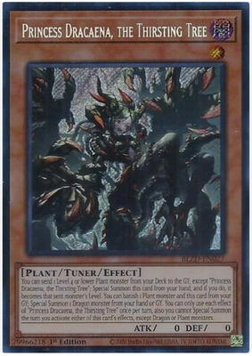 #ad Princess Dracaena Thirsting Tree BLZD EN027 Secret Rare Blazing Dom. NM M $10.30