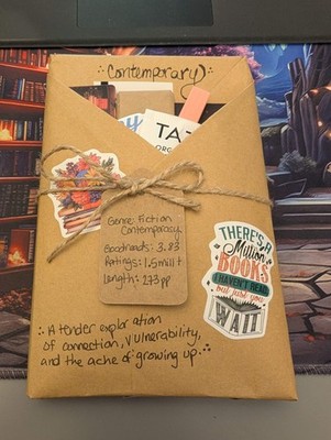 Blind Date with a Book: Adult Fiction! Contemporary! SEE PICS Read TEASER