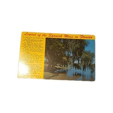 VINTAGE LEGEND OF THE SPANISH MOSS IN FLORIDA POSTCARD