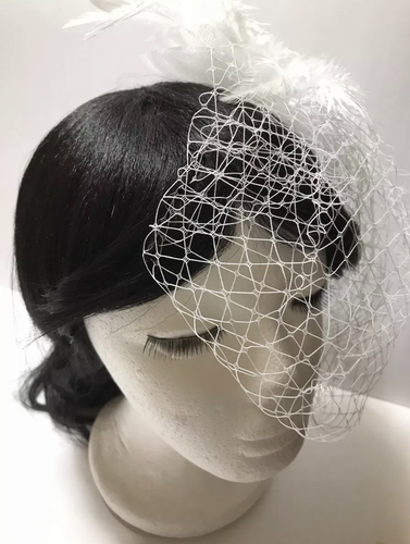 Women White Fascinator Wedding Bridal Birdcage Veil with Feathers - 第 5/6 張圖片