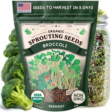 Seedboy Organic Non-GMO Di Cicco Broccoli Seeds Microgreens Sprouting 8oz USA
