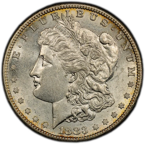 1883-S Morgan Dollar — photo from the most recent tracked eBay sale