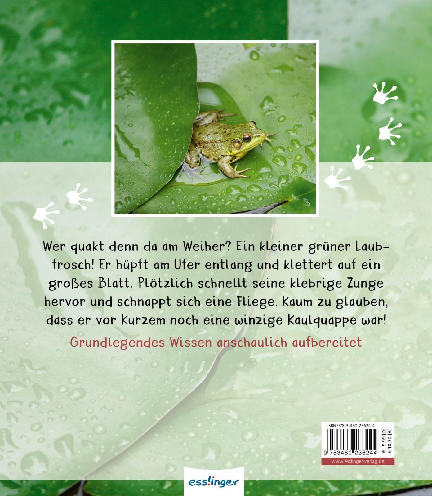 Thumbnail - Meine Große Tierbibliothek: Der Frosch | Paul Starosta | Buch | 32 S.