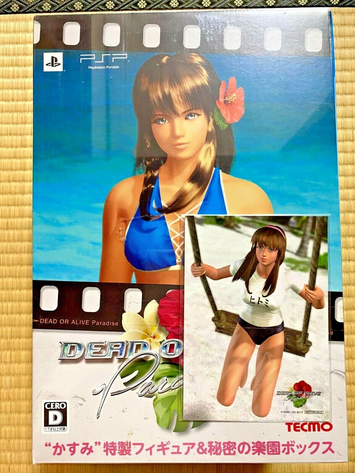 Kasumi (Dead or Alive), Game Ideas Wiki