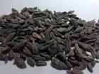 HARITAKI BLACK CHEBULIC MYROBALAN TERMINALIA CHEBULA HARDA - Free Ship- 50 gram