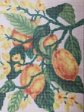 "Lime" Printed Needlepoint Tapestry  Canvas 3162