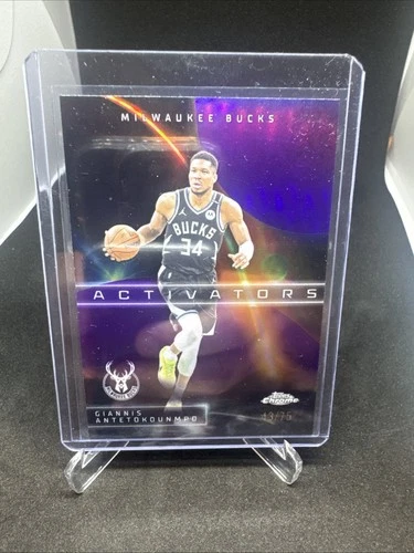 2025 Topps Chrome Giannis Antetokounmpo Base (RAW)