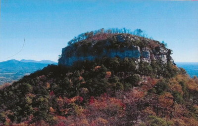 A ''Pilot Mountain'' in Pilot Mountain, NC  a RPPC Color Picture Postcard - 347