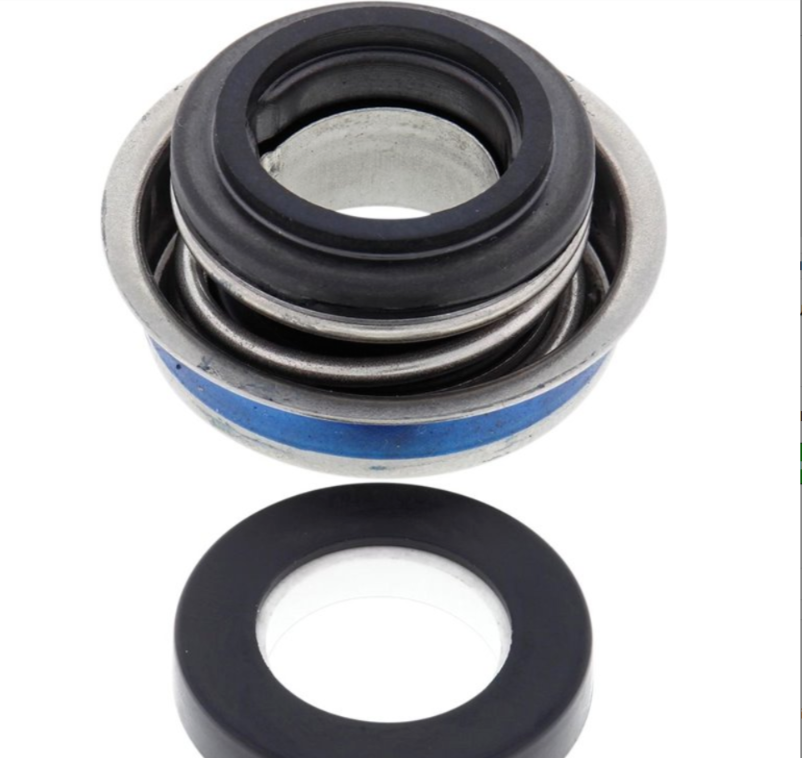Kit Riparazione Pompa Ace Per Pompe Guarnizione Umida Oasis – RK-FMC-750 (52724), Nuovo USA
