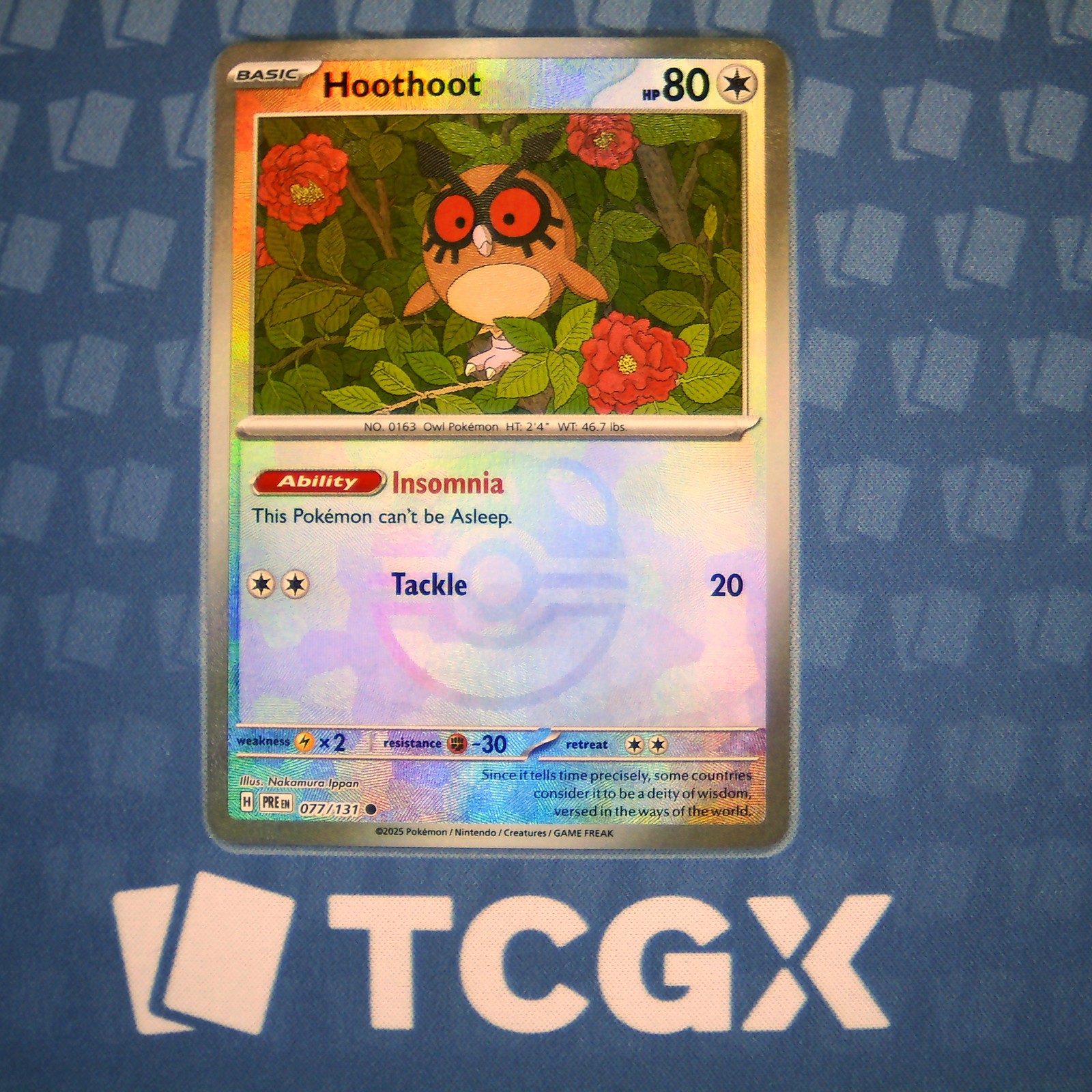 Pokemon - Hoothoot (Master Ball Pattern) - 077/131 - SV: Prismatic Evolutions NM