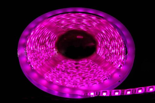 5050 LED Strip Light 12V Car Auto Van White Blue Red Green Pink 10 30 CM Xmas - Picture 5 of 10