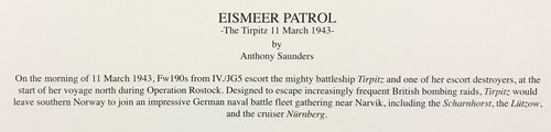 Eismeer Patrol by Anthony Saunders signed by WWII Tirpitz and Luftwaffe Veterans - 第 3/4 張圖片