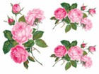 Vintage Image Victorian Shabby Pink Roses Transfers Waterslide Decals ...
