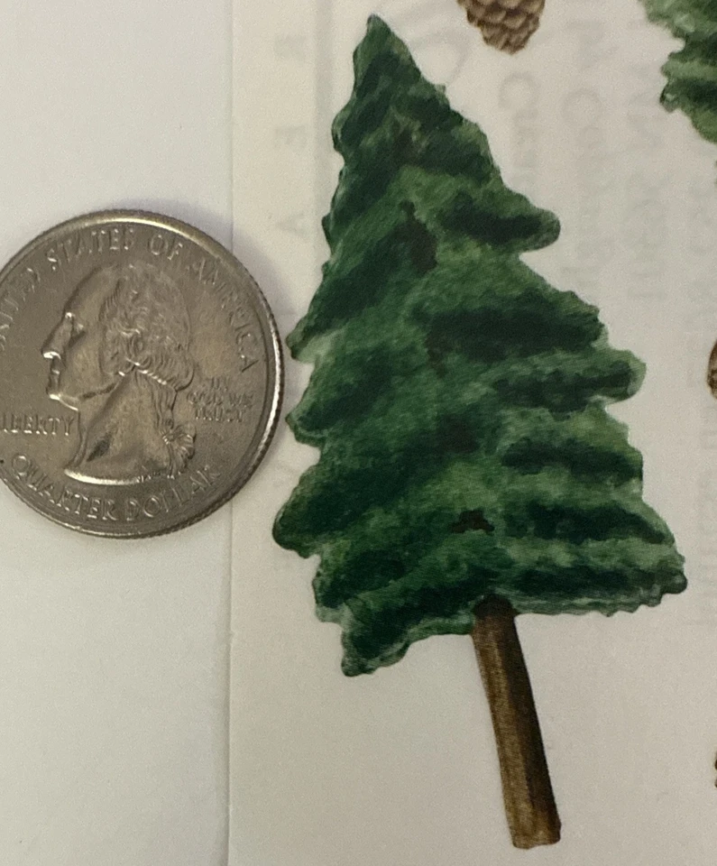 Наклейки ВЕЧНОЗЕЛЕНАЯ ЕЛКА (9 шт.) творческие воспоминания • сосна • Рождество • изготовление открыток • - Изображение 4 из 4