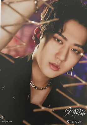 Stray Kids Scars Tower Record SHOP Limited version FLYER | eBay