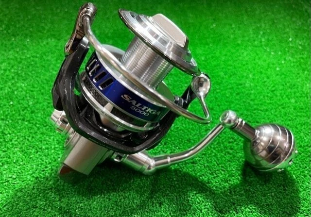 Daiwa 10 Saltiga 5000 | eBay