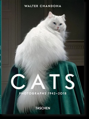 Walter Chandoha. Cats. Photographs 1942-2018 | Susan Michals | Buch | 192 S.