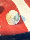 Dug Civil War 💥 🇺🇸 💣 Carved Bullet Nipple Protector
