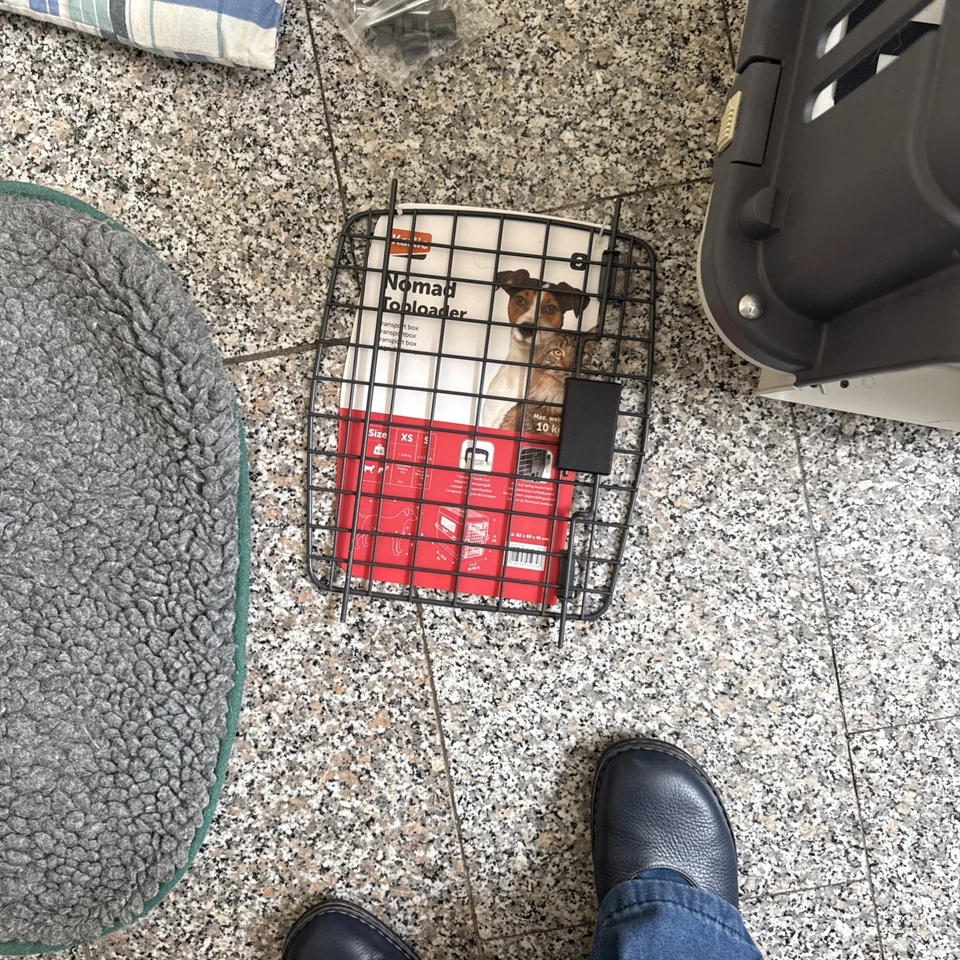 Hundebox - Bild 4 von 4