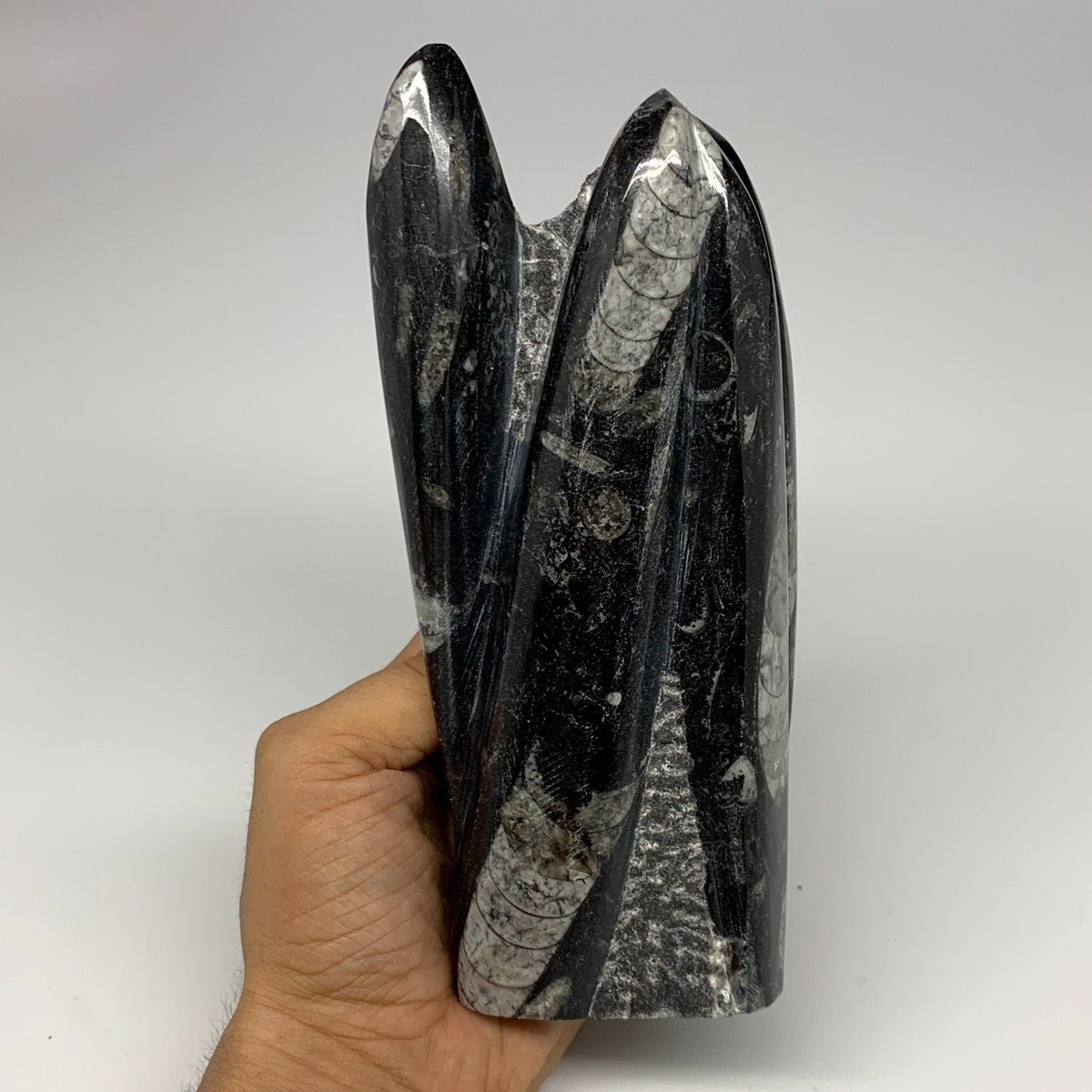 1240g, 7.2