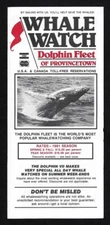 Vintage 1990's Cape Cod WHALE WATCH Dolphin Fleet of Provincetown MA Brochure