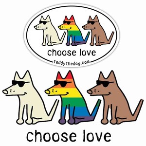 teddy the dog choose love