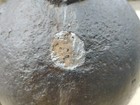 Picture 7 of 8