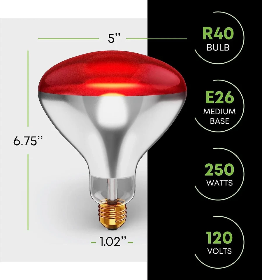 2 Pack 250W Watt Infrared Brooder Chicken Coop Hen Red Heat Lamp R40 Medium E26 - Image 4 of 4