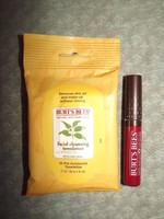Burt's Bees Lip Gloss & Towelettes Burt's Bees Lip Gloss & Towelettes
