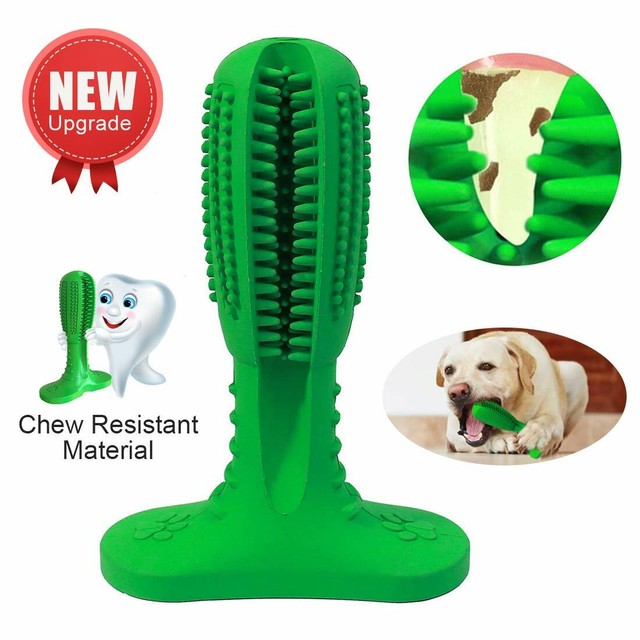 dog toothbrush stick