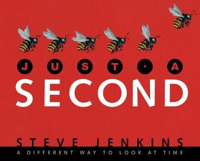 Just a Second: A Different Way to Look at Time by Jenkins, Steve
