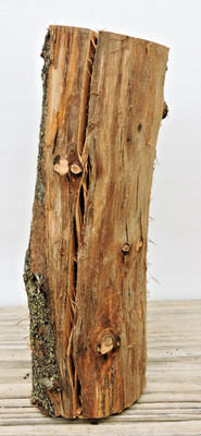 8'' Apple Wood Stick Log Chunk 2 1/2~3''D Straight Spalted Driftwood