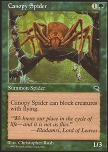 Canopy Spider x4 - Tempest - NM-Mint, English - Tempest