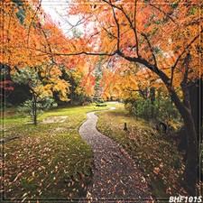 Autumn10'x10' Computer-painted/Digital Scenic Photo Background Backdrop BHF1015