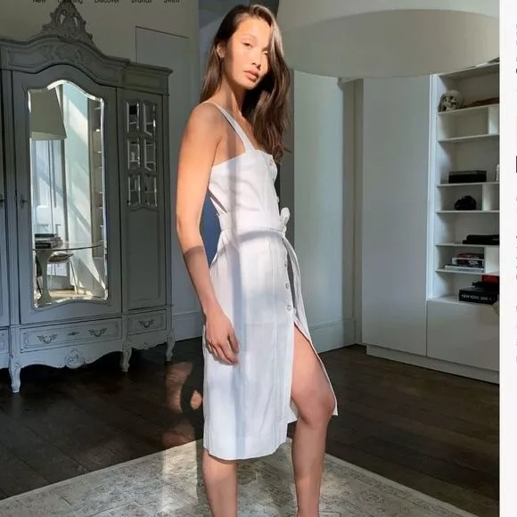 Aritzia hot sale kofi dress