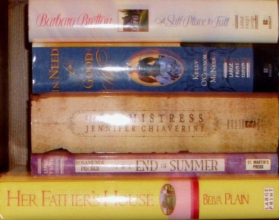 Lot of 5 LARGE PRINT HCs Women's Fiction: BRETTON Plain CHIAVERINI Pilcher ++ Foto 3 de 3