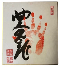 Yokozuna Hoshoryu Sumo Tegata Handprint Signed Japanese Calligraphy Handwritten